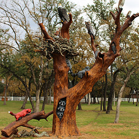 Stump Carvings Image